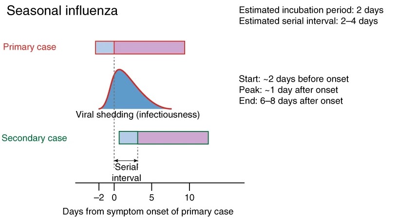 インフルエンザウイルスの感染力と時間経過